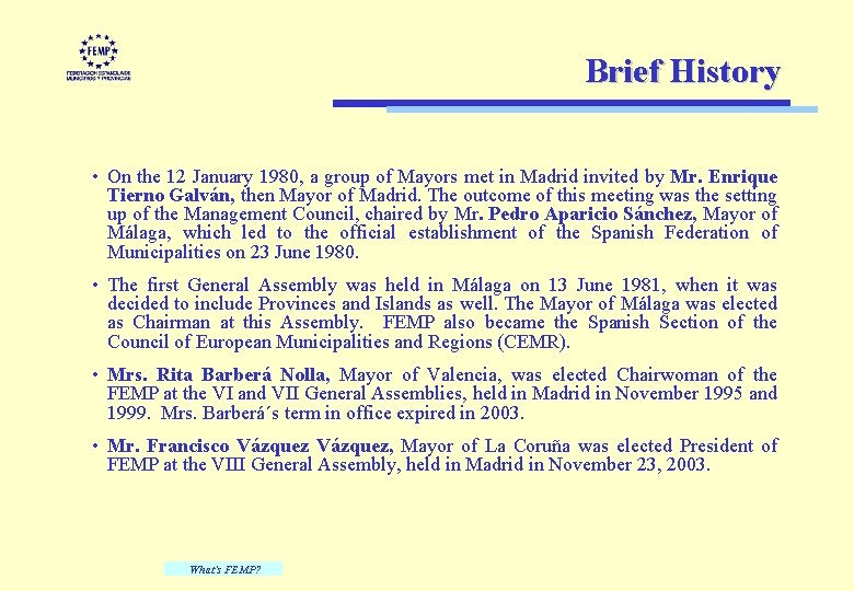 Brief History • On the 12 January 1980, a group of Mayors met in