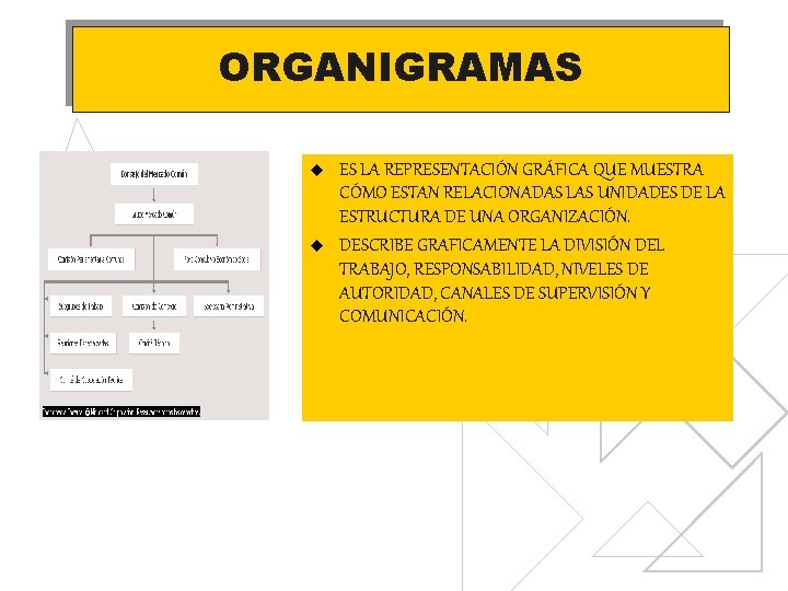 ORGANIGRAMAS u u ES LA REPRESENTACIÓN GRÁFICA QUE MUESTRA CÓMO ESTAN RELACIONADAS LAS UNIDADES