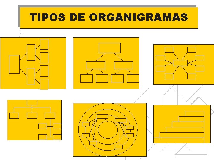 TIPOS DE ORGANIGRAMAS 