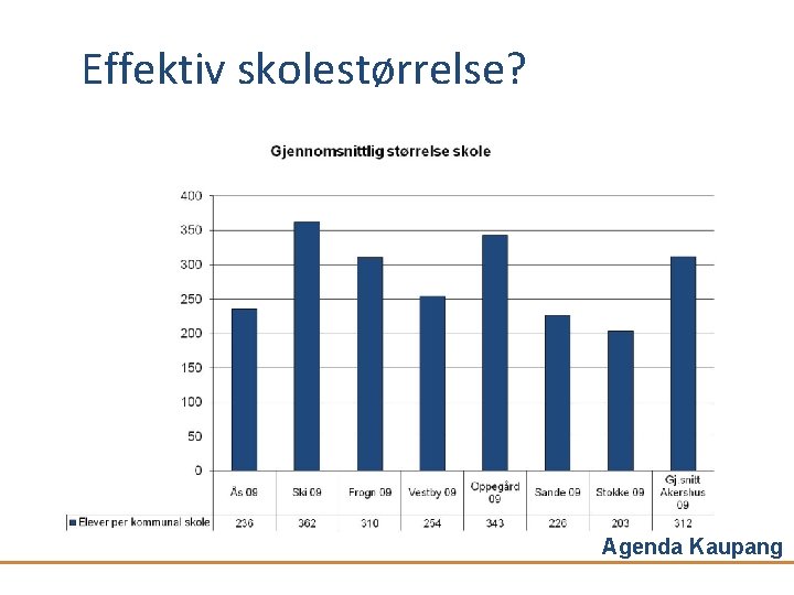 Effektiv skolestørrelse? Agenda Kaupang 