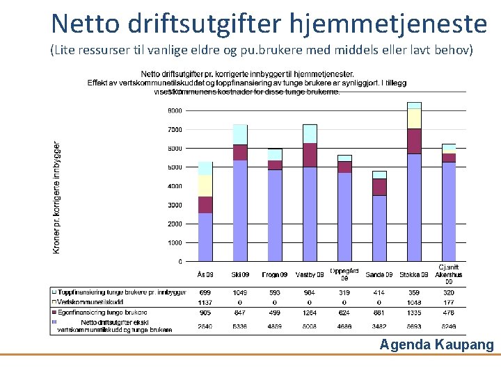 Netto driftsutgifter hjemmetjeneste (Lite ressurser til vanlige eldre og pu. brukere med middels eller