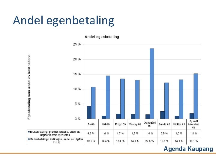 Andel egenbetaling Agenda Kaupang 