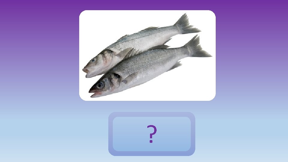 ? des poissons 