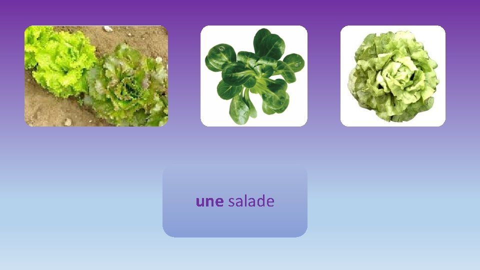 une salade 