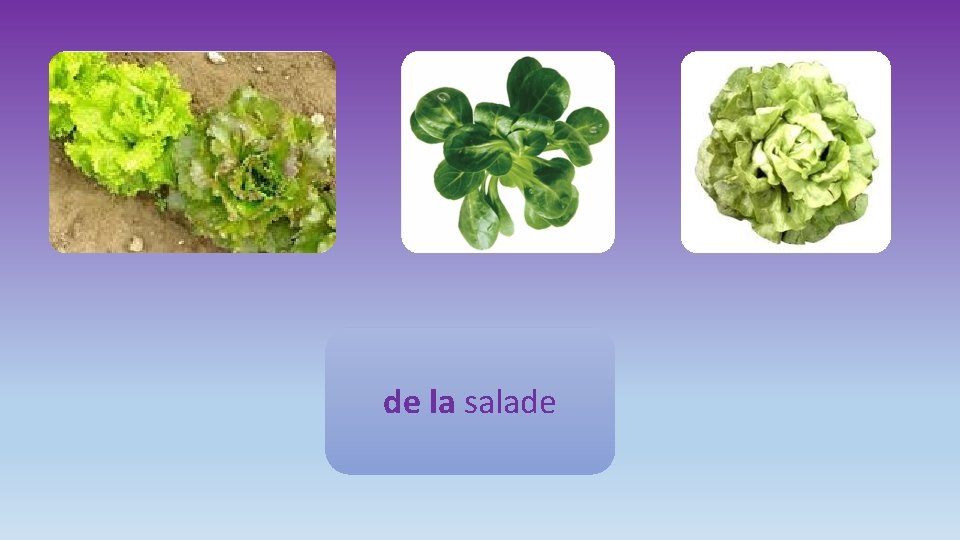 de la salade 