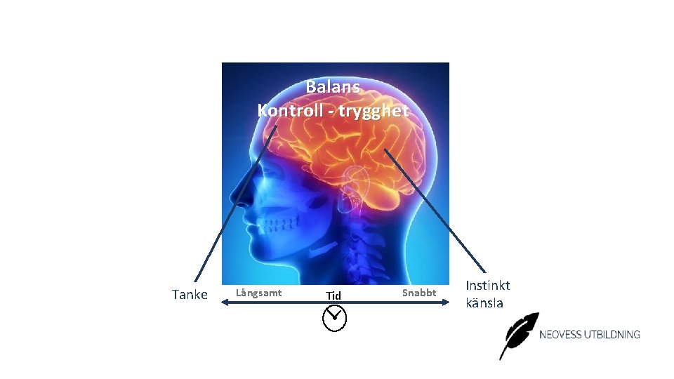 Balans Kontroll - trygghet Tanke Långsamt Tid Snabbt Instinkt känsla 