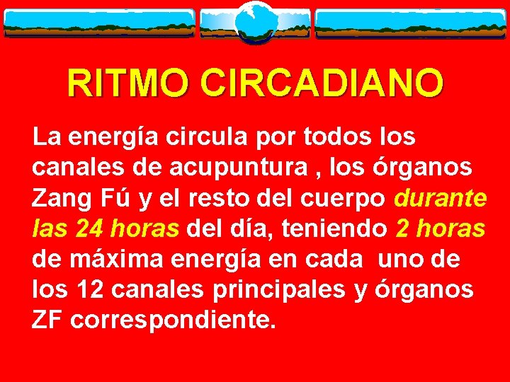 RITMO CIRCADIANO La energía circula por todos los canales de acupuntura , los órganos