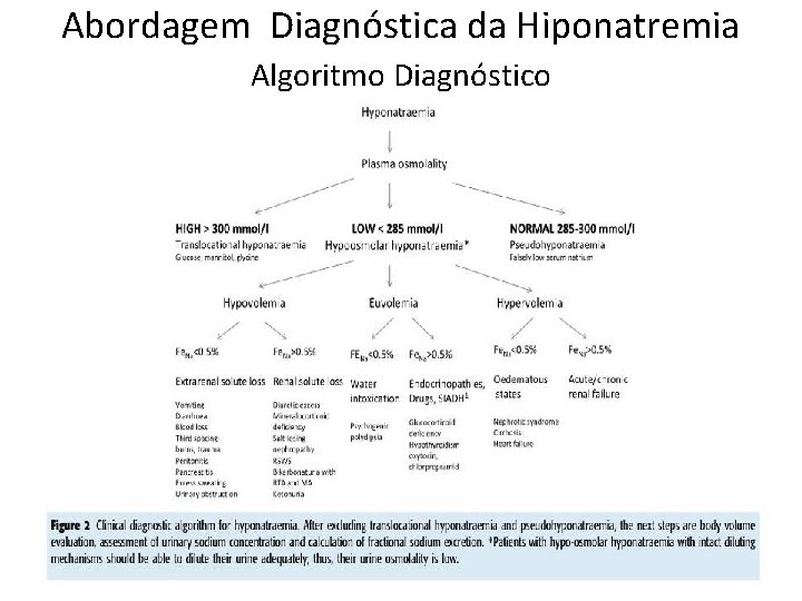 Abordagem Diagnóstica da Hiponatremia Algoritmo Diagnóstico 
