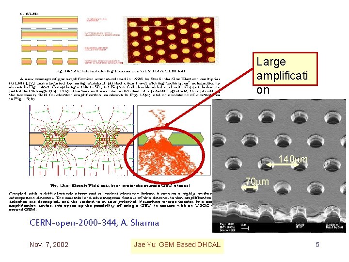 Large amplificati on 140 mm 70 mm CERN-open-2000 -344, A. Sharma Nov. 7, 2002