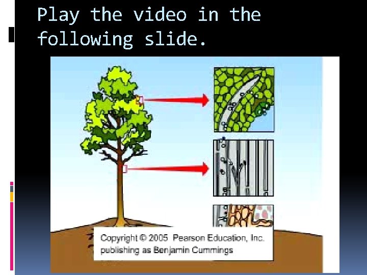 Play the video in the following slide. 