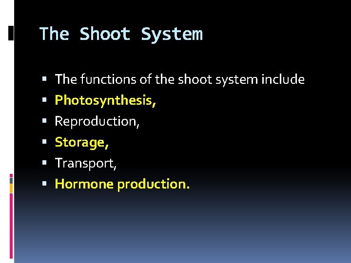 The Shoot System The functions of the shoot system include Photosynthesis, Reproduction, Storage, Transport,