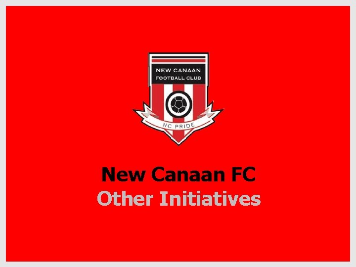 New Canaan FC Other Initiatives 