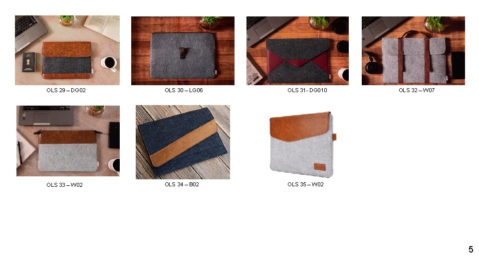 OLS 29 – DG 02 OLS 30 – LG 06 OLS 31 - DG