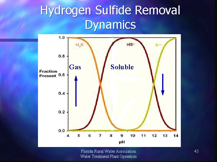Hydrogen Sulfide Removal Dynamics Gas Soluble Florida Rural Water Association Water Treatment Plant Operation