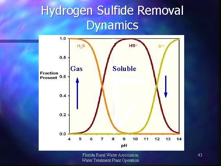 Hydrogen Sulfide Removal Dynamics Gas Soluble Florida Rural Water Association Water Treatment Plant Operation