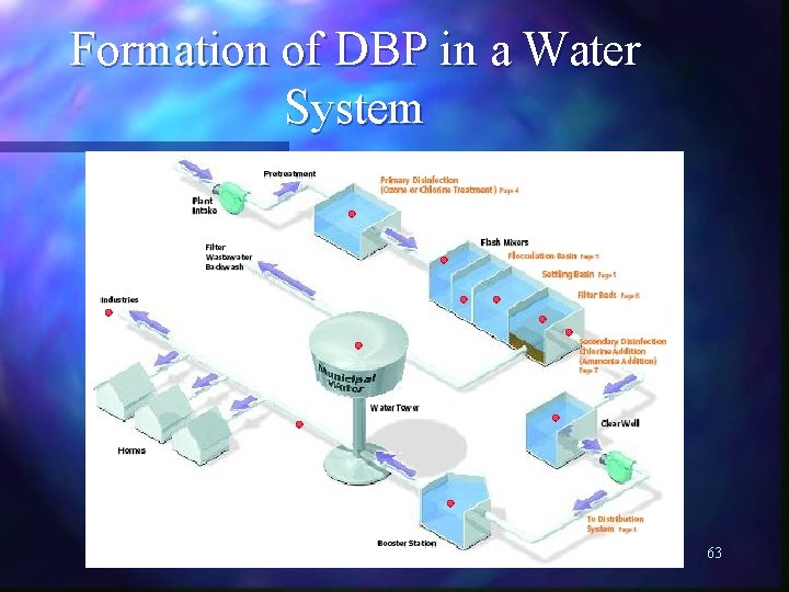 Formation of DBP in a Water System 63 