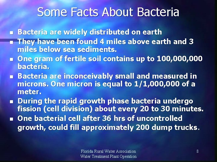 Some Facts About Bacteria n n n Bacteria are widely distributed on earth They