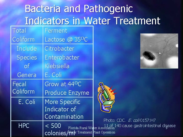 Bacteria and Pathogenic Indicators in Water Treatment Total Coliform Include Species of Genera Fecal