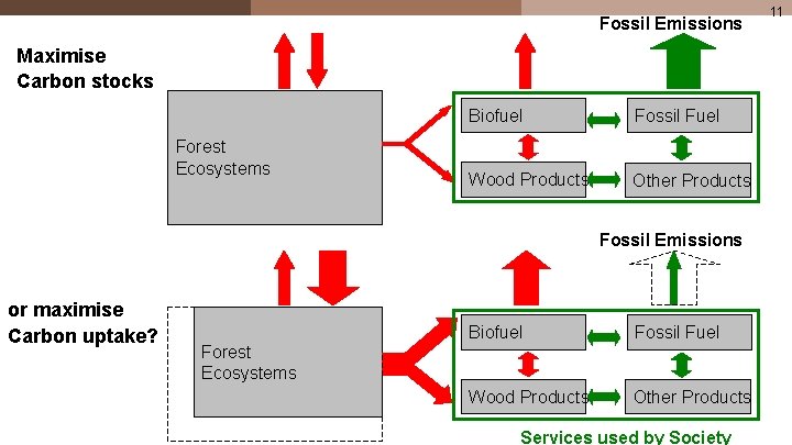 Fossil Emissions Maximise Carbon stocks Forest Ecosystems Biofuel Fossil Fuel Wood Products Other Products