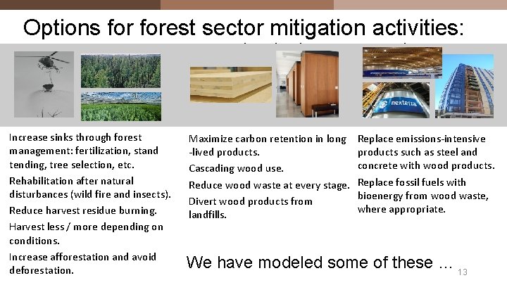 Options forest sector mitigation activities: Forest Ecosystem Increase sinks through forest management: fertilization, stand