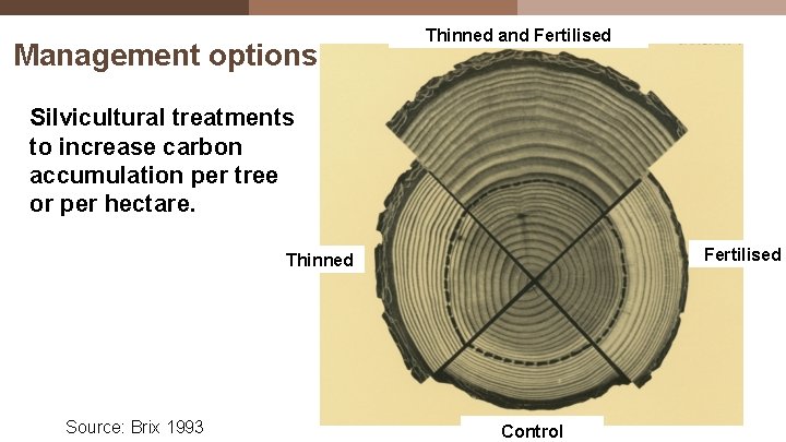 Management options Thinned and Fertilised Silvicultural treatments to increase carbon accumulation per tree or