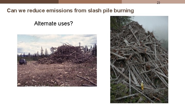 23 Can we reduce emissions from slash pile burning Alternate uses? Photo: T. Sullivan