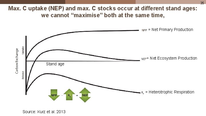 35 Max. C uptake (NEP) and max. C stocks occur at different stand ages: