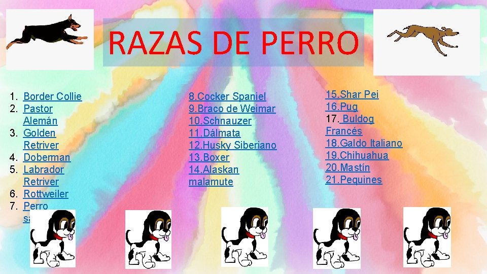 RAZAS DE PERRO 1. Border Collie 2. Pastor Alemán 3. Golden Retriver 4. Doberman