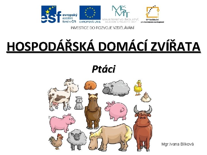 HOSPODÁŘSKÁ DOMÁCÍ ZVÍŘATA Ptáci Mgr. Ivana Bílková HOSPODÁŘSKÁ DOMÁCÍ ZVÍŘATA Ptáci Mgr. Ivana Bílková