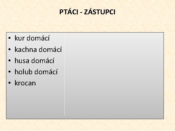 PTÁCI - ZÁSTUPCI • • • kur domácí kachna domácí husa domácí holub domácí PTÁCI - ZÁSTUPCI • • • kur domácí kachna domácí husa domácí holub domácí