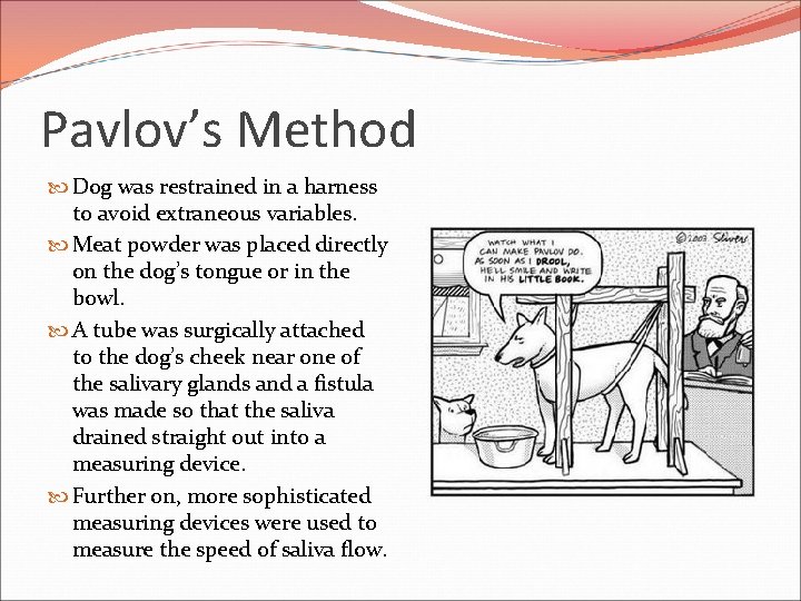 Pavlov’s Method Dog was restrained in a harness to avoid extraneous variables. Meat powder