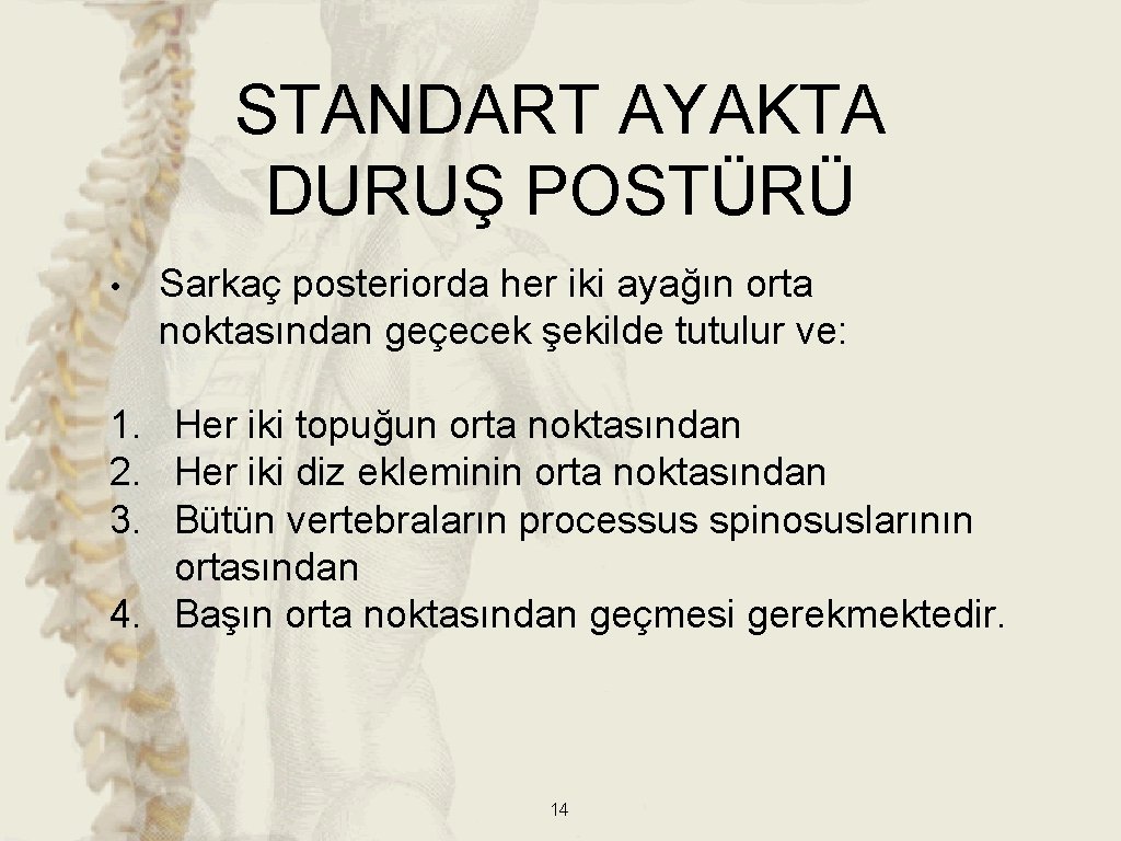STANDART AYAKTA DURUŞ POSTÜRÜ • Sarkaç posteriorda her iki ayağın orta noktasından geçecek şekilde STANDART AYAKTA DURUŞ POSTÜRÜ • Sarkaç posteriorda her iki ayağın orta noktasından geçecek şekilde