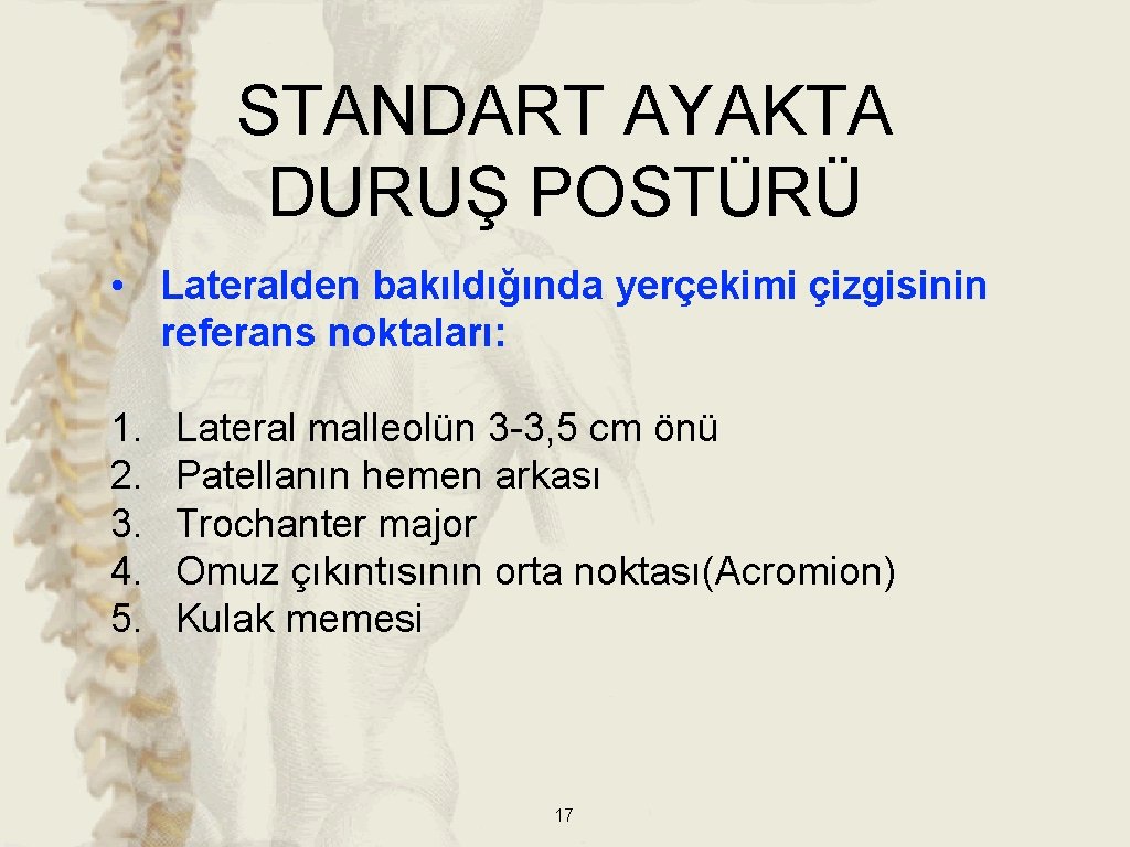 STANDART AYAKTA DURUŞ POSTÜRÜ • Lateralden bakıldığında yerçekimi çizgisinin referans noktaları: 1. 2. 3. STANDART AYAKTA DURUŞ POSTÜRÜ • Lateralden bakıldığında yerçekimi çizgisinin referans noktaları: 1. 2. 3.