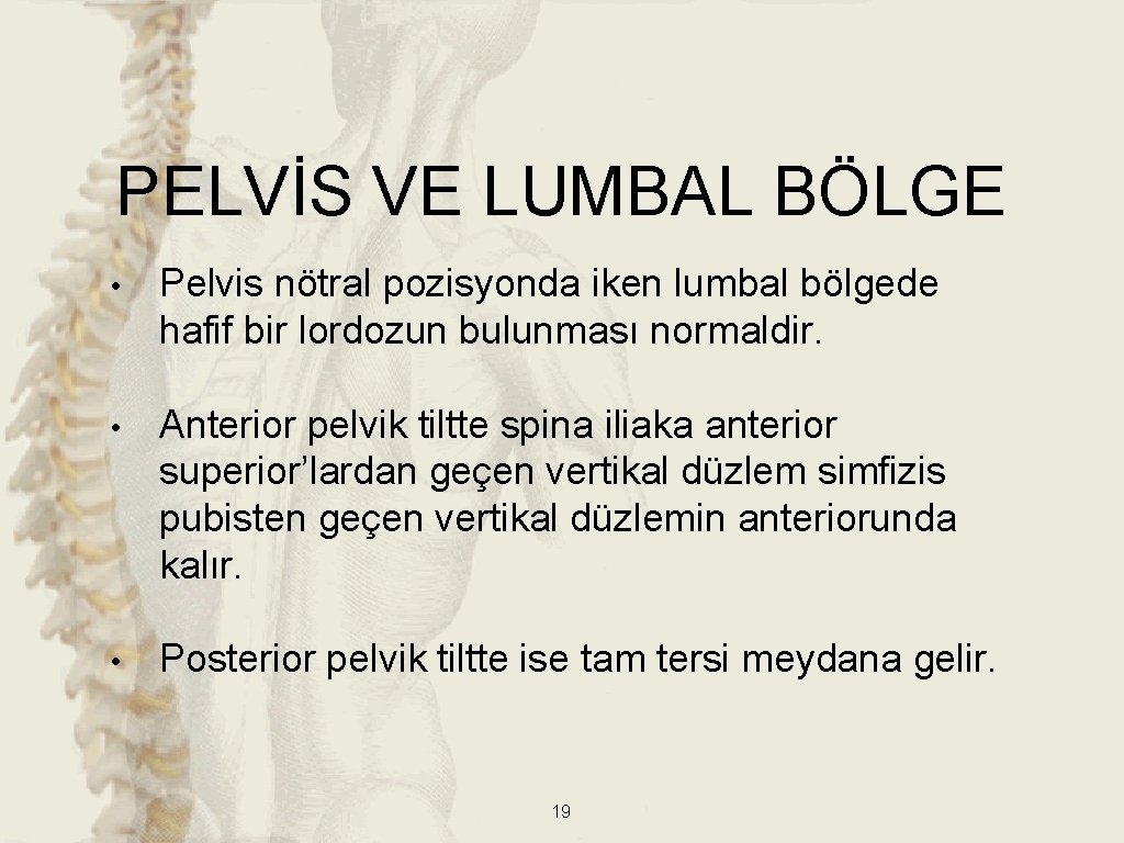 PELVİS VE LUMBAL BÖLGE • Pelvis nötral pozisyonda iken lumbal bölgede hafif bir lordozun PELVİS VE LUMBAL BÖLGE • Pelvis nötral pozisyonda iken lumbal bölgede hafif bir lordozun