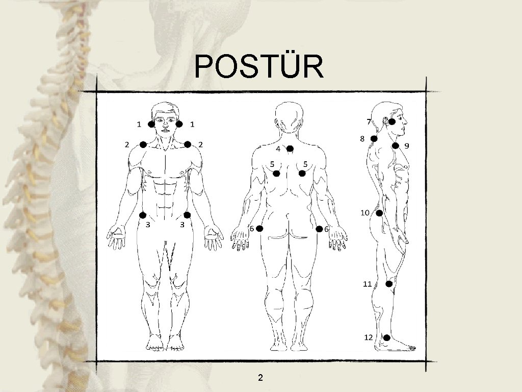 POSTÜR 2 POSTÜR 2