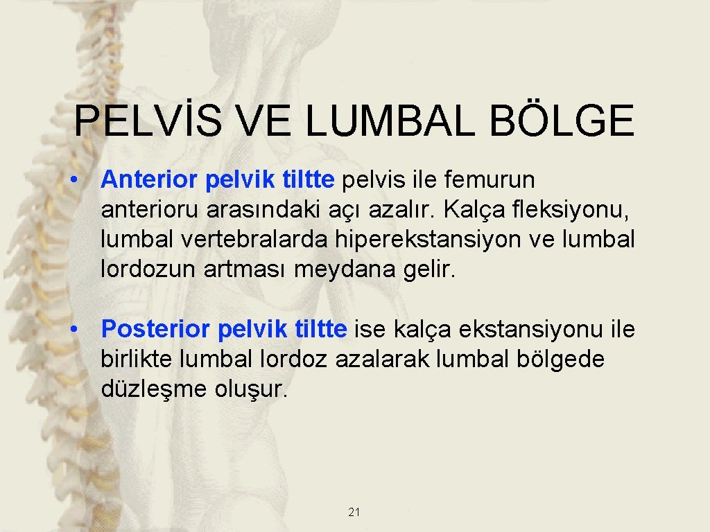 PELVİS VE LUMBAL BÖLGE • Anterior pelvik tiltte pelvis ile femurun anterioru arasındaki açı PELVİS VE LUMBAL BÖLGE • Anterior pelvik tiltte pelvis ile femurun anterioru arasındaki açı