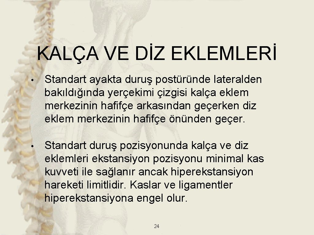 KALÇA VE DİZ EKLEMLERİ • Standart ayakta duruş postüründe lateralden bakıldığında yerçekimi çizgisi kalça KALÇA VE DİZ EKLEMLERİ • Standart ayakta duruş postüründe lateralden bakıldığında yerçekimi çizgisi kalça