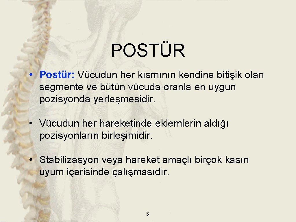 POSTÜR • Postür: Vücudun her kısmının kendine bitişik olan segmente ve bütün vücuda oranla POSTÜR • Postür: Vücudun her kısmının kendine bitişik olan segmente ve bütün vücuda oranla