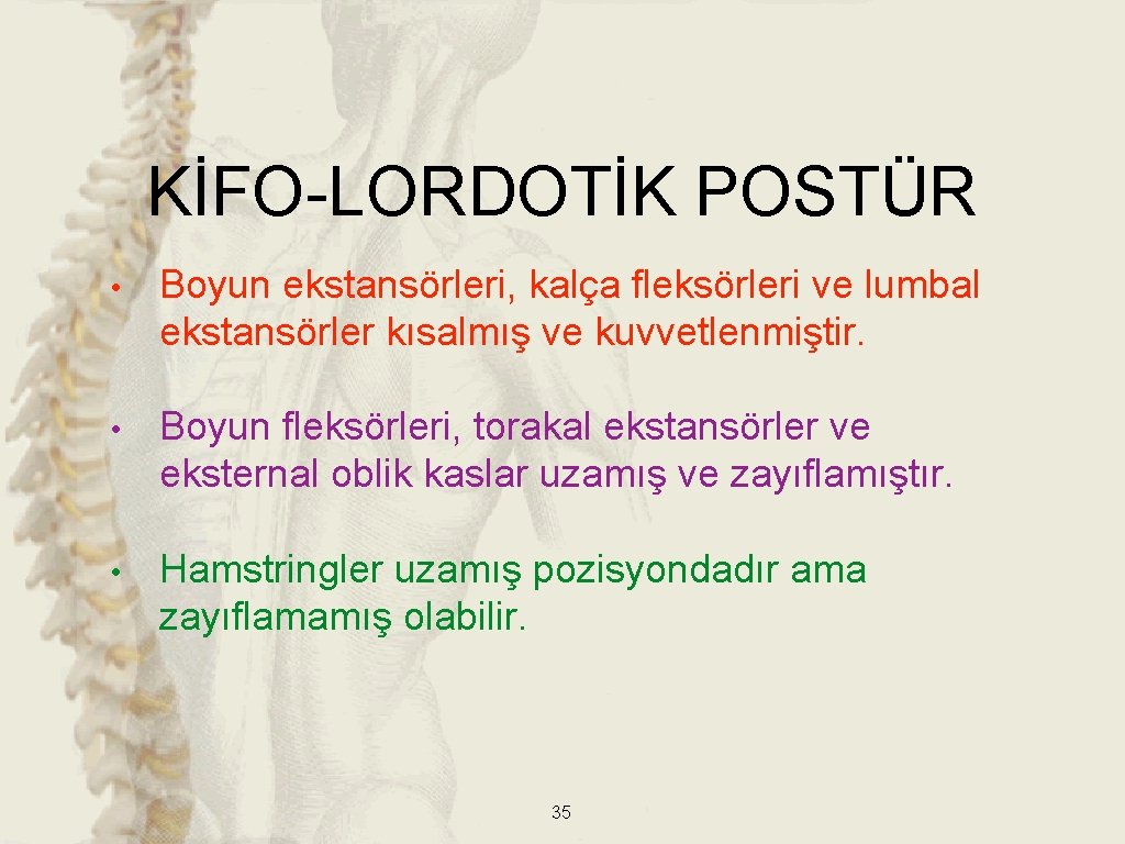 KİFO-LORDOTİK POSTÜR • Boyun ekstansörleri, kalça fleksörleri ve lumbal ekstansörler kısalmış ve kuvvetlenmiştir. • KİFO-LORDOTİK POSTÜR • Boyun ekstansörleri, kalça fleksörleri ve lumbal ekstansörler kısalmış ve kuvvetlenmiştir. •