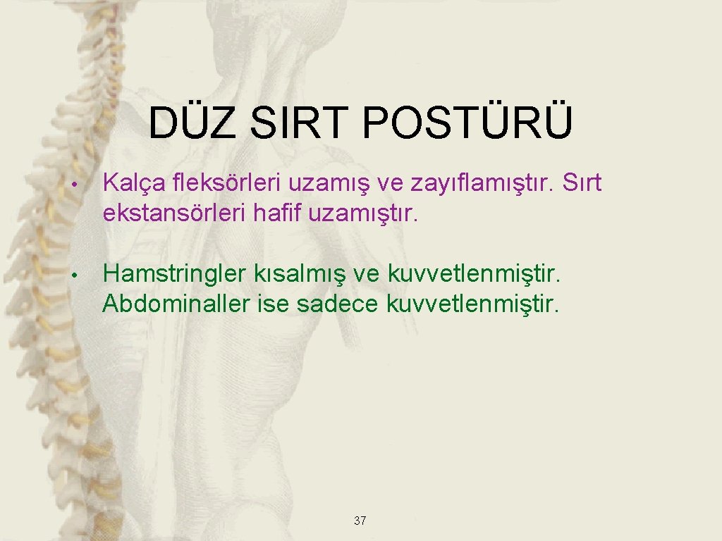 DÜZ SIRT POSTÜRÜ • Kalça fleksörleri uzamış ve zayıflamıştır. Sırt ekstansörleri hafif uzamıştır. • DÜZ SIRT POSTÜRÜ • Kalça fleksörleri uzamış ve zayıflamıştır. Sırt ekstansörleri hafif uzamıştır. •