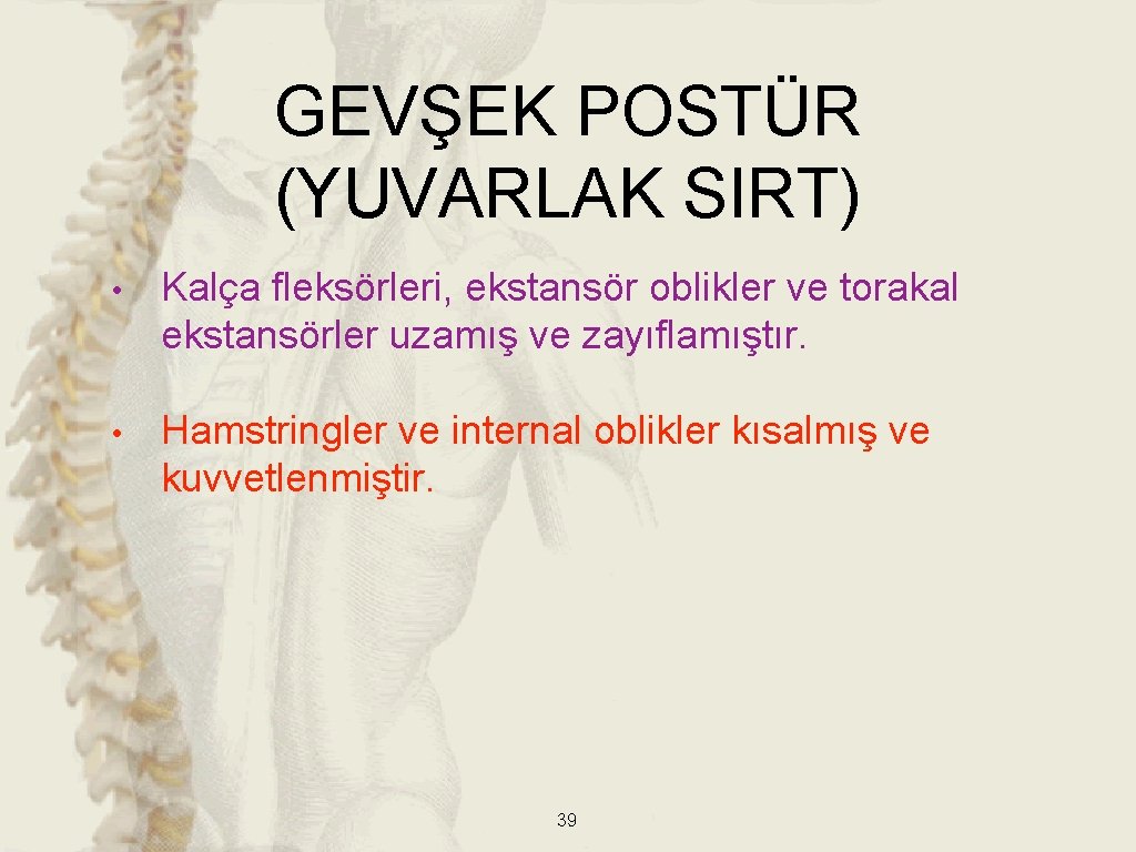 GEVŞEK POSTÜR (YUVARLAK SIRT) • Kalça fleksörleri, ekstansör oblikler ve torakal ekstansörler uzamış ve GEVŞEK POSTÜR (YUVARLAK SIRT) • Kalça fleksörleri, ekstansör oblikler ve torakal ekstansörler uzamış ve