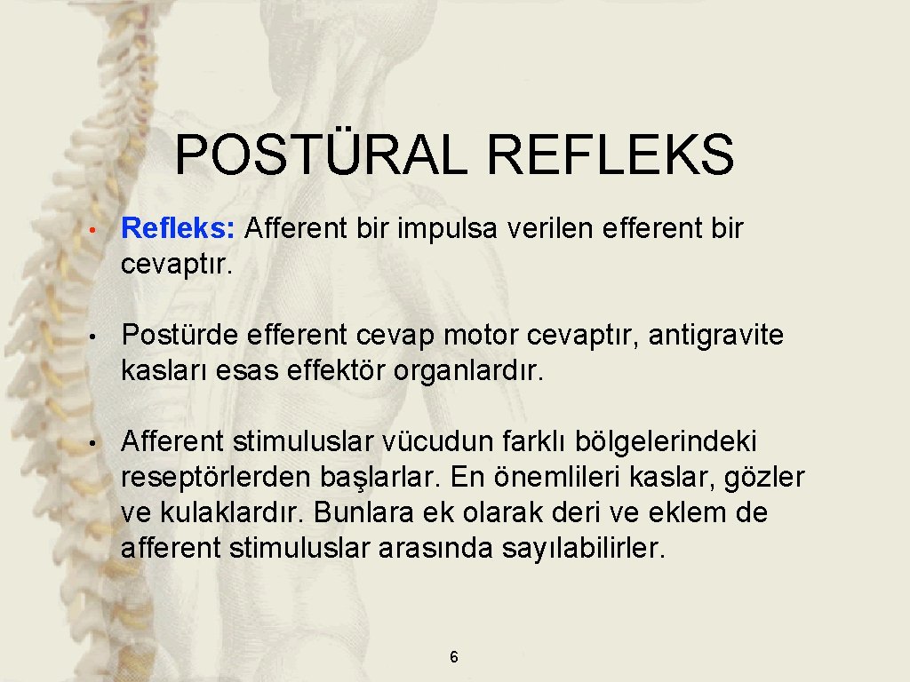 POSTÜRAL REFLEKS • Refleks: Afferent bir impulsa verilen efferent bir cevaptır. • Postürde efferent POSTÜRAL REFLEKS • Refleks: Afferent bir impulsa verilen efferent bir cevaptır. • Postürde efferent