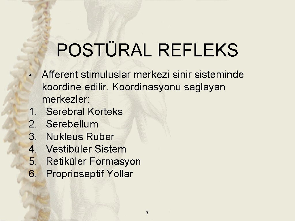POSTÜRAL REFLEKS • 1. 2. 3. 4. 5. 6. Afferent stimuluslar merkezi sinir sisteminde POSTÜRAL REFLEKS • 1. 2. 3. 4. 5. 6. Afferent stimuluslar merkezi sinir sisteminde