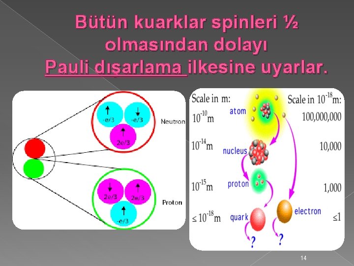 Bütün kuarklar spinleri ½ olmasından dolayı Pauli dışarlama ilkesine uyarlar. 14 