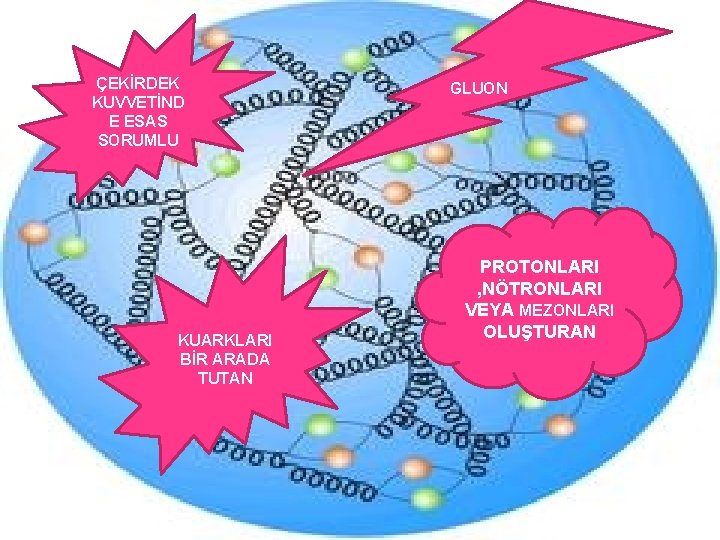 ÇEKİRDEK KUVVETİND E ESAS SORUMLU KUARKLARI BİR ARADA TUTAN GLUON PROTONLARI , NÖTRONLARI VEYA