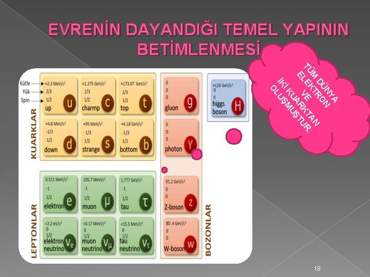 EVRENİN DAYANDIĞI TEMEL YAPININ BETİMLENMESİ A NY N DÜ O R M KT AN.