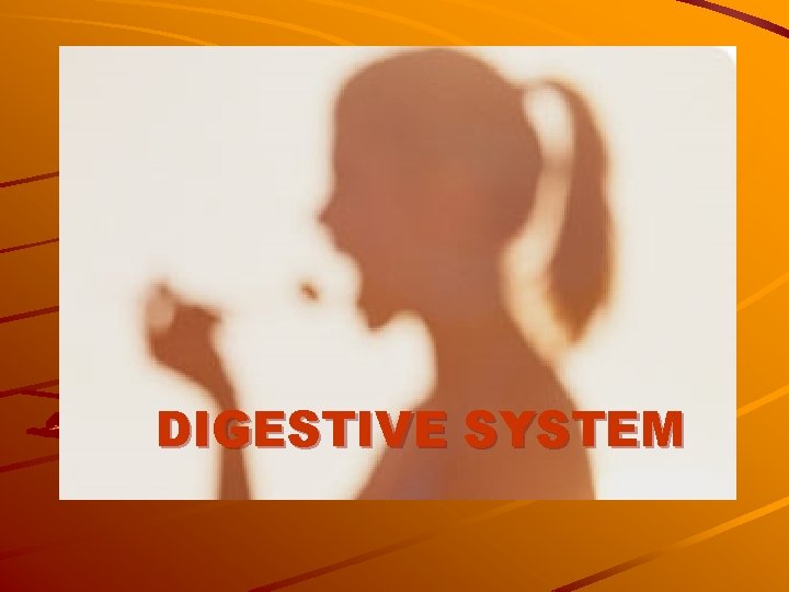 DIGESTIVE SYSTEM 