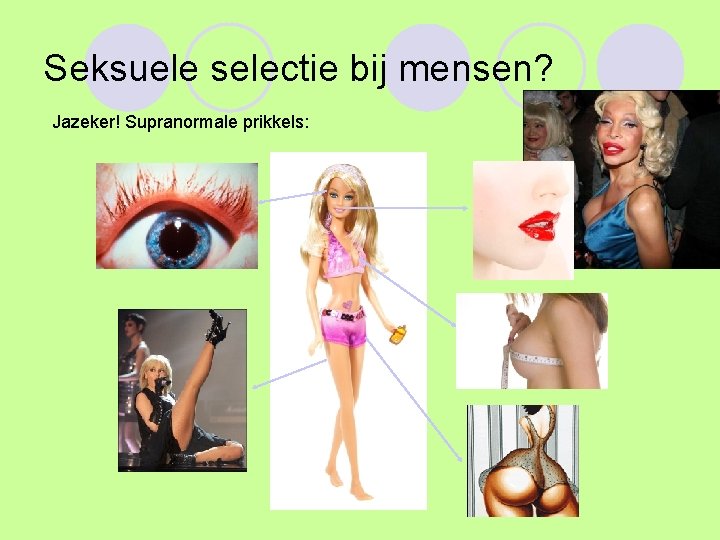 Seksuele selectie bij mensen? Jazeker! Supranormale prikkels: 