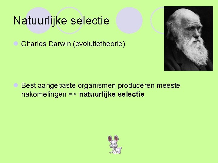 Natuurlijke selectie l Charles Darwin (evolutietheorie) l Best aangepaste organismen produceren meeste nakomelingen =>