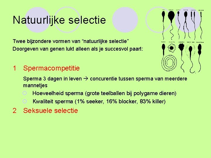 Natuurlijke selectie Twee bijzondere vormen van “natuurlijke selectie” Doorgeven van genen lukt alleen als